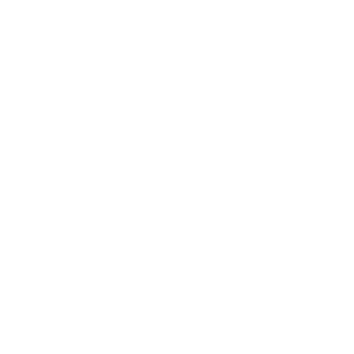 VISA logo