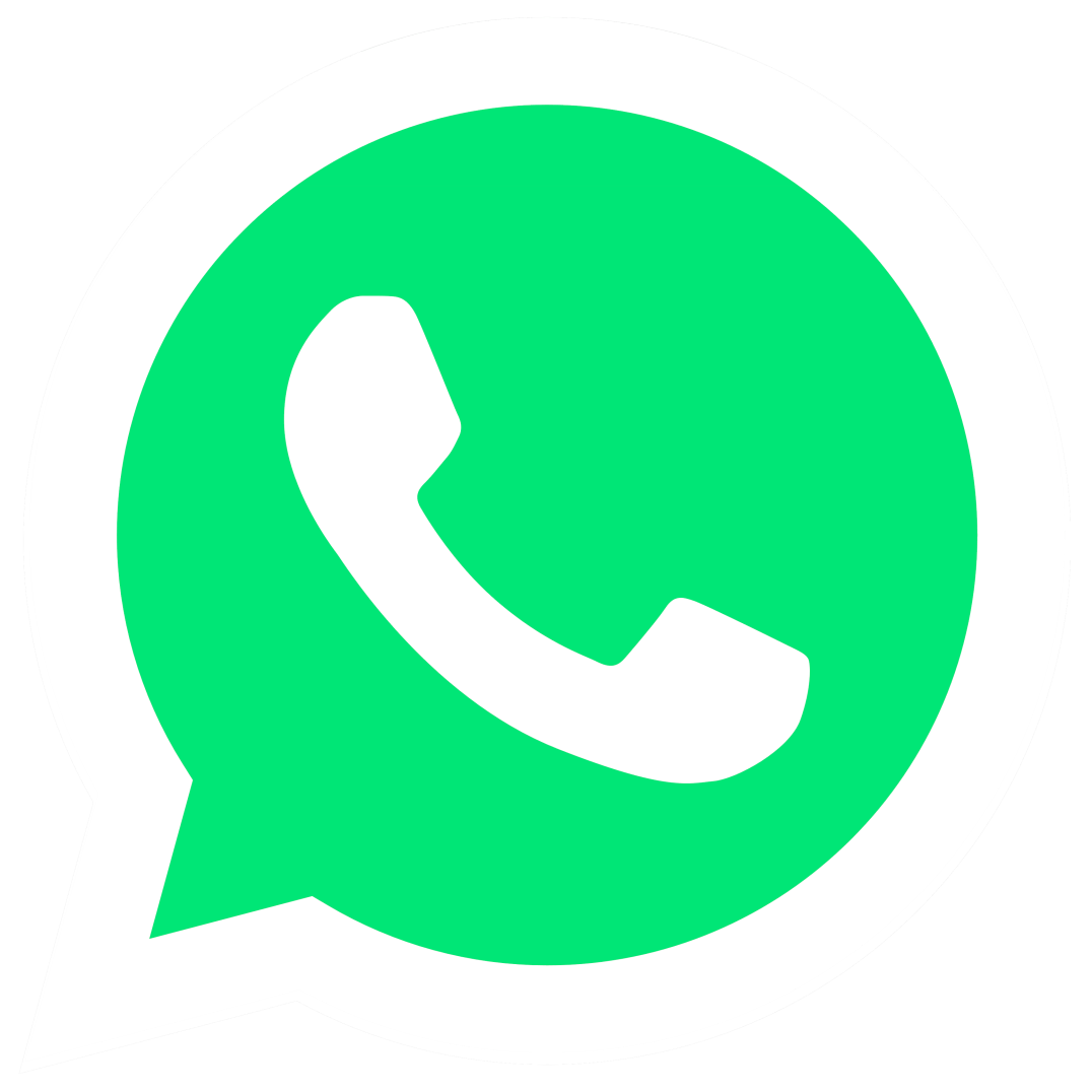 Whatsapp icon